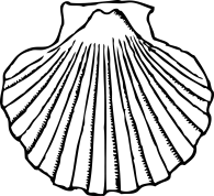 mussel-303432_1280.png